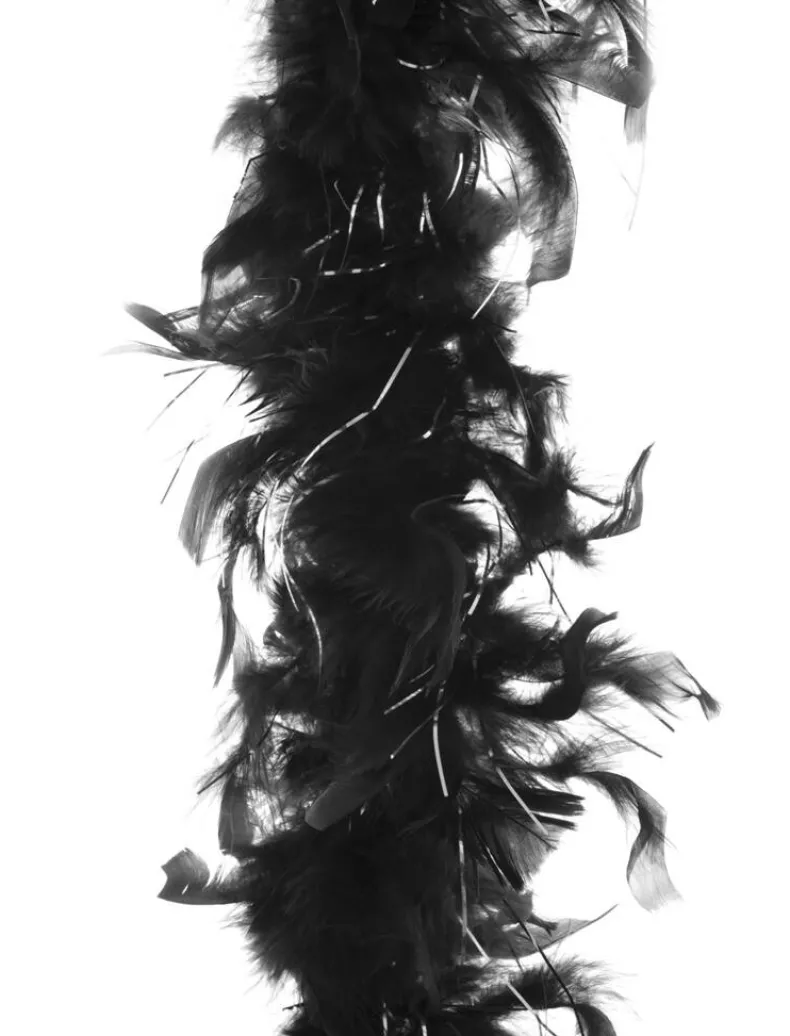 Boa 2 meter 45gr - Zwart zilverdraad