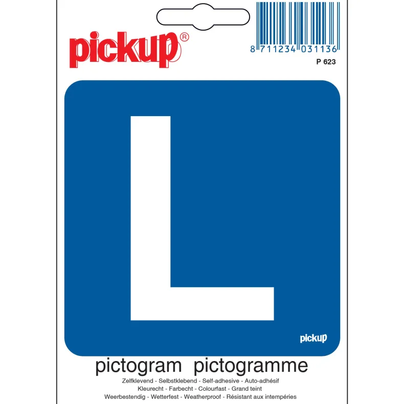 Pictogram L 10 x 10 cm