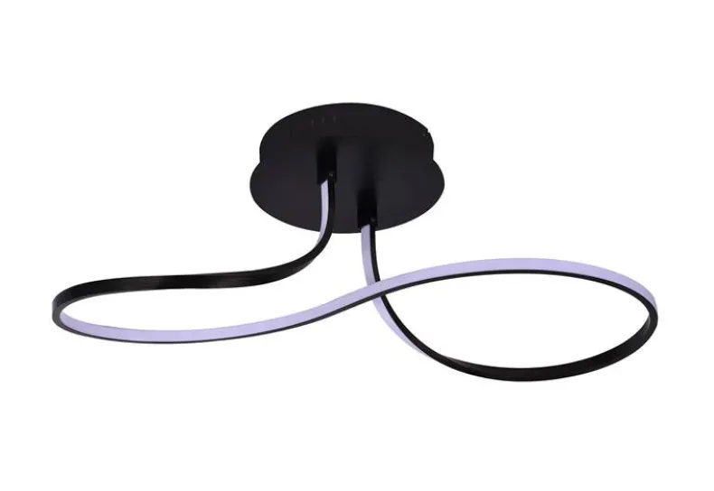 Plafondlamp Forsythia  LED  24W