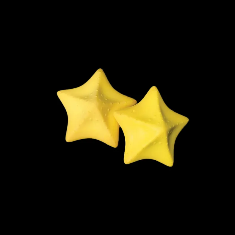 Absorberende Zeester Reinigingssponzen (2 stuks)