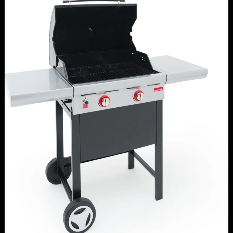 BCOOK SPRING 2002 GASBBQ