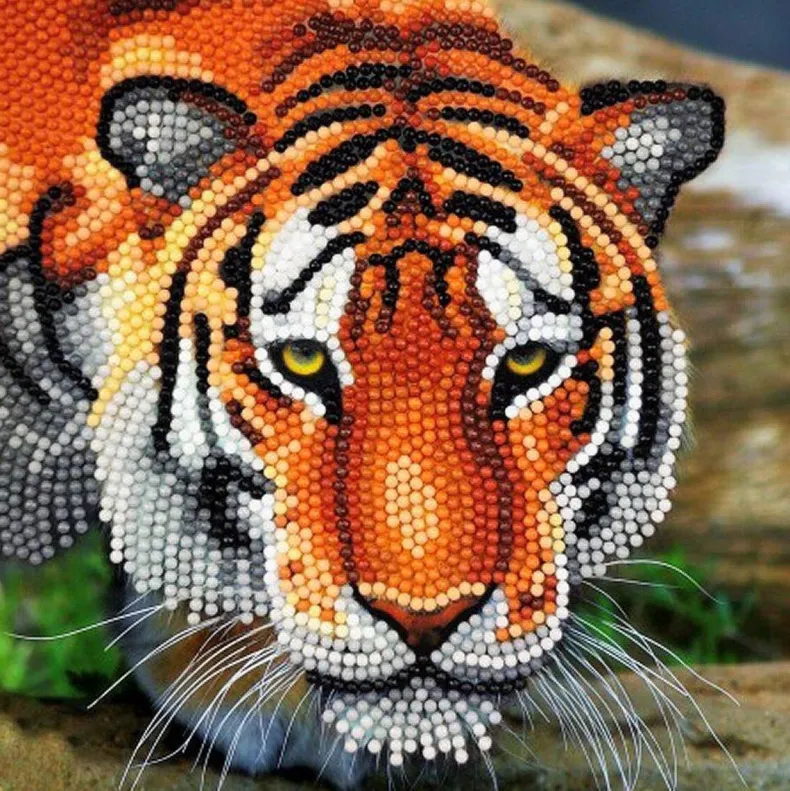 Crystal cart tijger 18x18cm