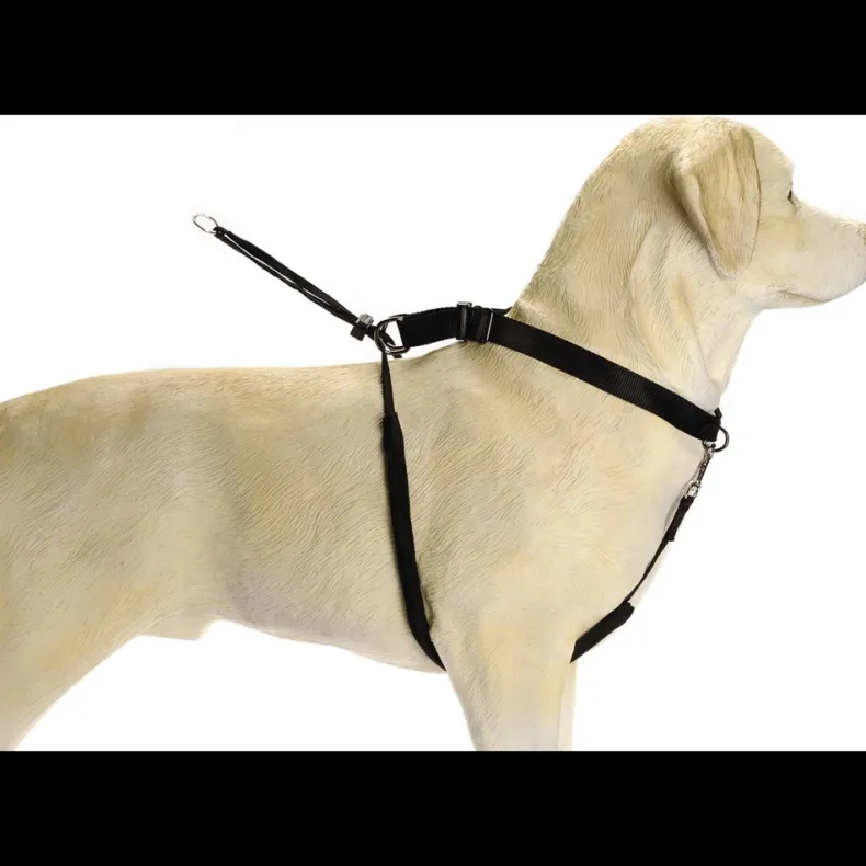 Halsband Gentle Walker zwart L