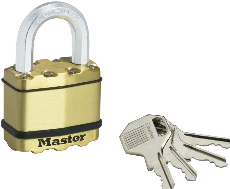 Hangslot 50 mm octa diameter 9 mm 4 pins