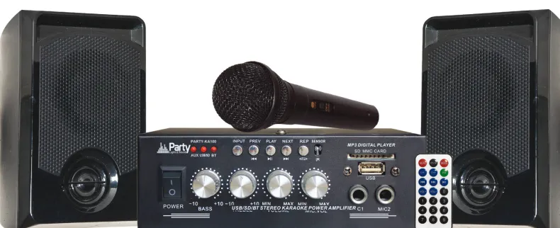Karaoke Set W/Usb Mic + 2Spk