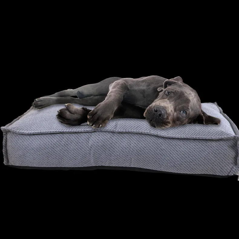 Kussen Majestic 75x50x12 cm