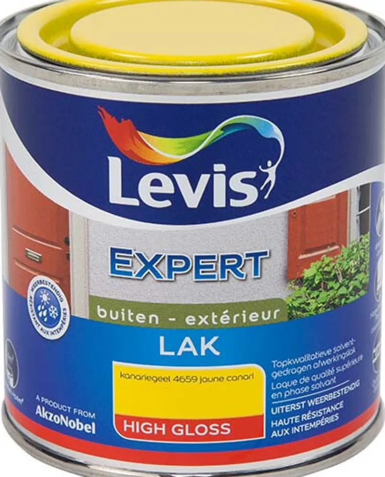 Lak expert high gloss 4659 250 ml