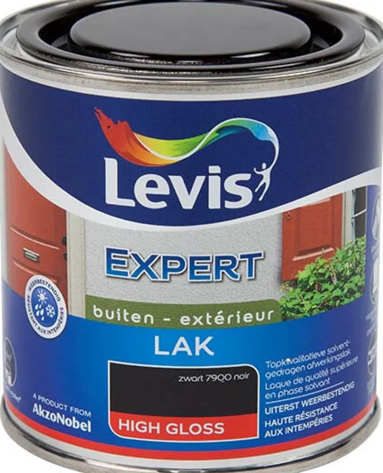 Lak expert high gloss 7900 250 ml