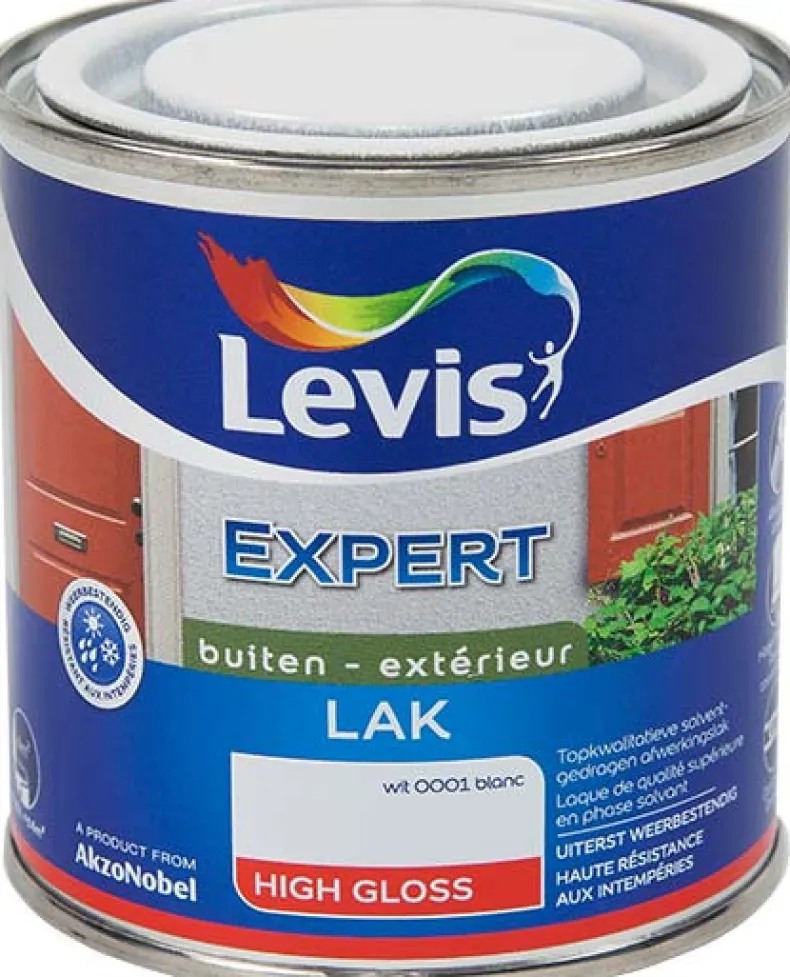 Lak expert hoge glans 250 ml