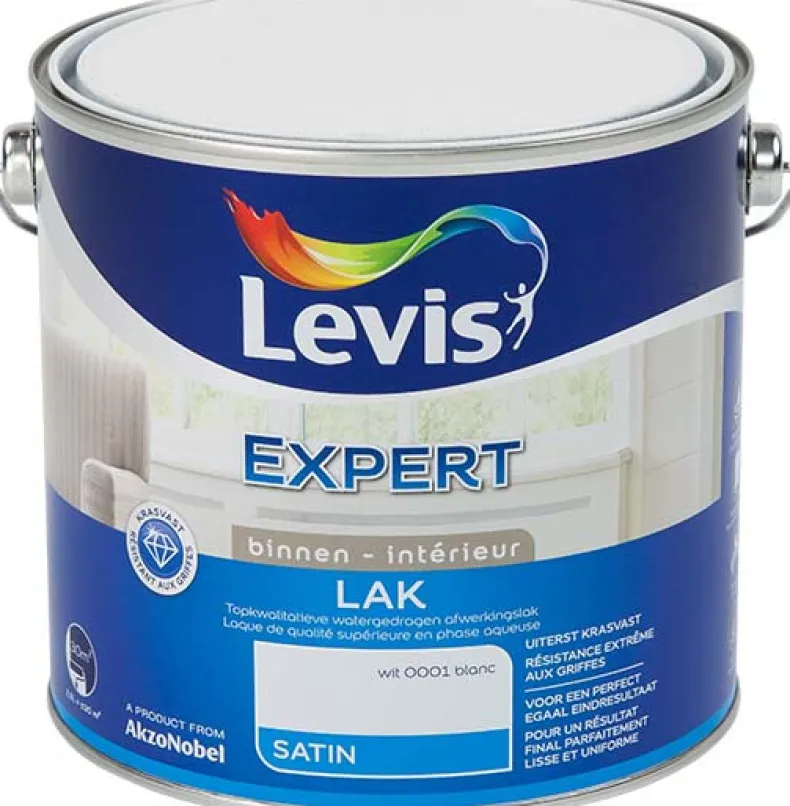 Lak regular satin wit 2,5 l