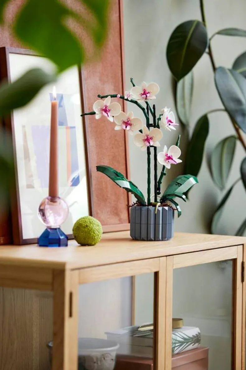 LEGO Botanicals 10311 Orchidee