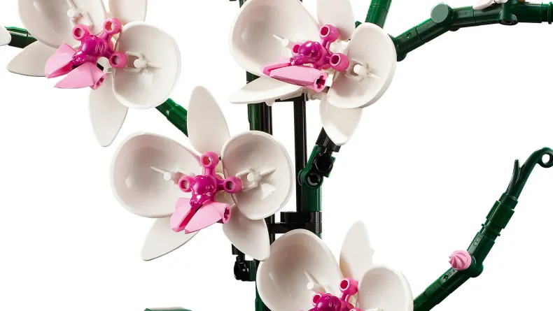 LEGO Botanicals 10311 Orchidee