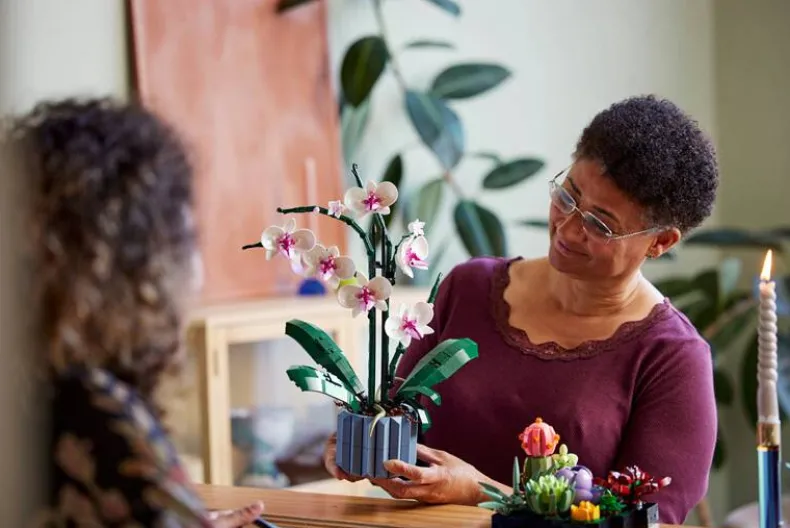 LEGO Botanicals 10311 Orchidee