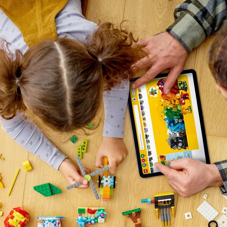 LEGO Classic 11019 Stenen en Functies