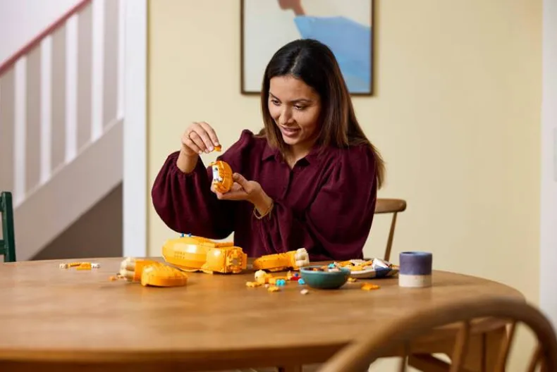 LEGO Disney 43247 Jonge Simba de Leeuwenkoning