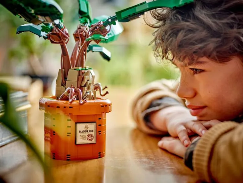 LEGO Harry Potter 76433 Mandragora