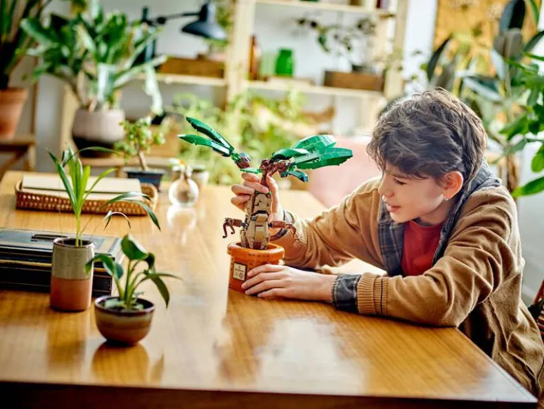 LEGO Harry Potter 76433 Mandragora