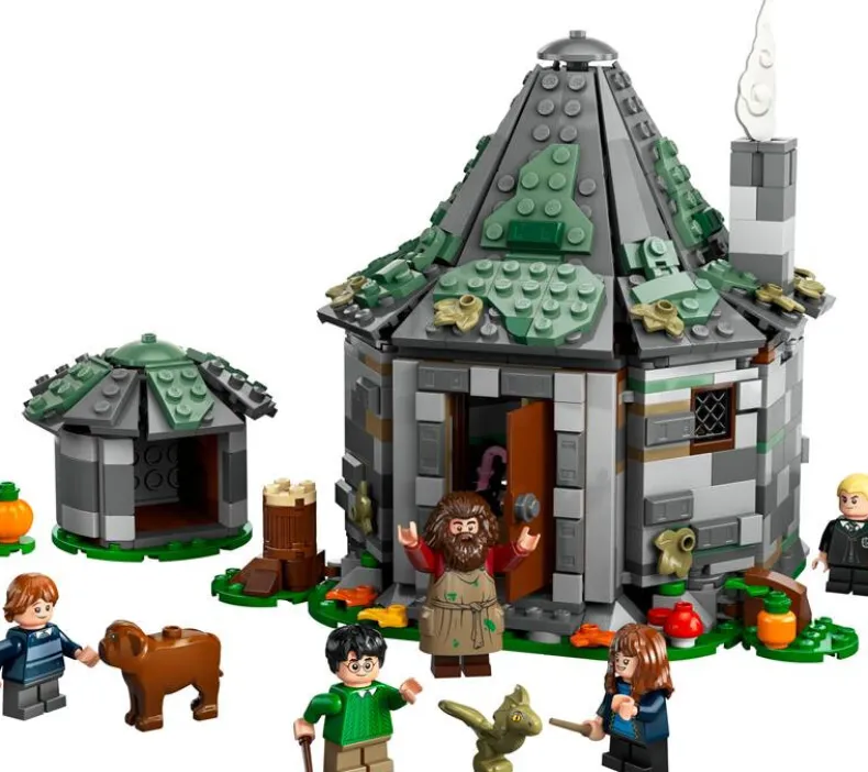 LEGO Harry Potter 76428 Hagrids huisje: onverwacht bezoek