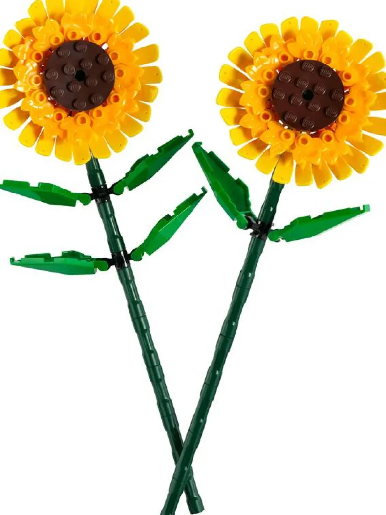 LEGO Iconic 40524 Zonnebloemen
