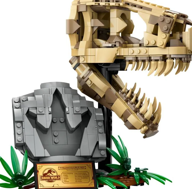 LEGO Jurassic World 76964 Dinosaurusfossielen: T. rex schedel