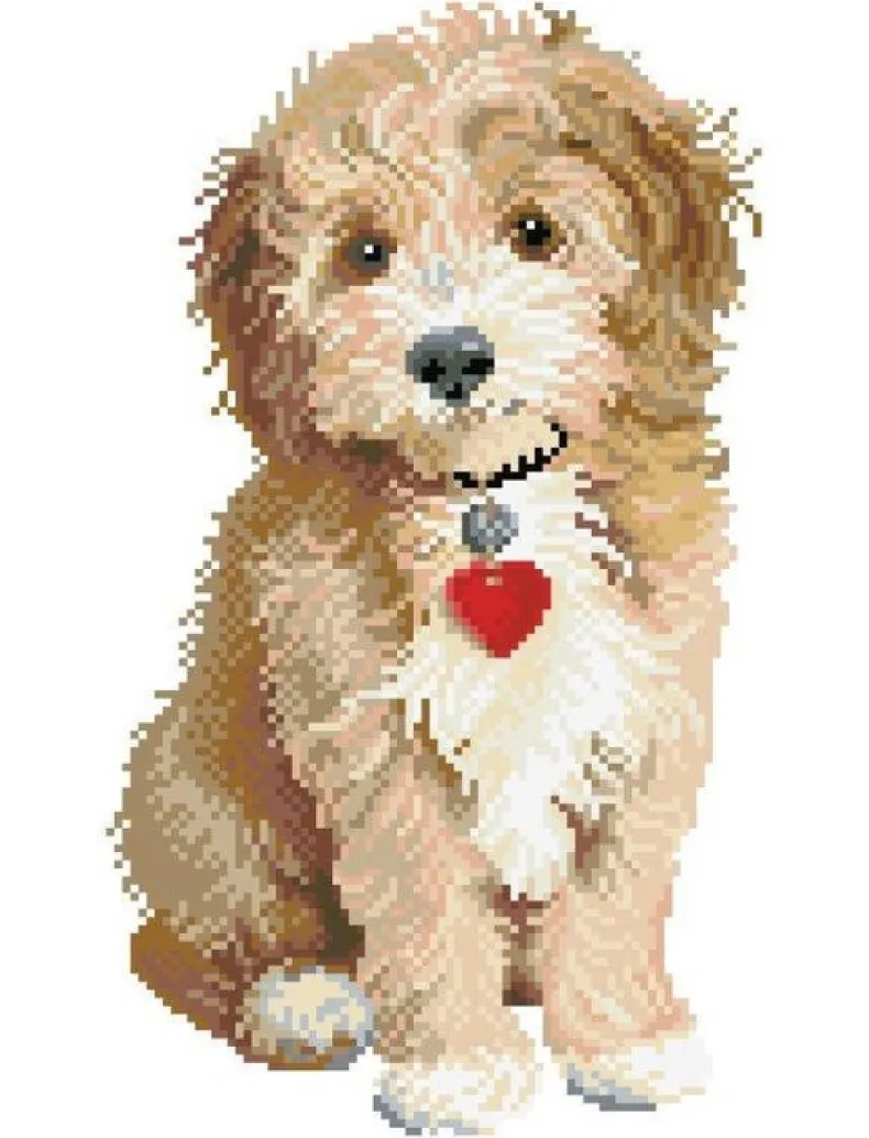 Lovely Boy Diamond Dotz