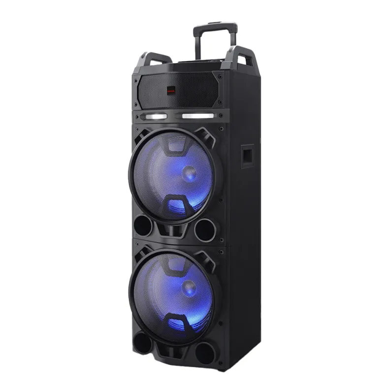 Mobiele installatie met 2x draadloze microfoon 800W