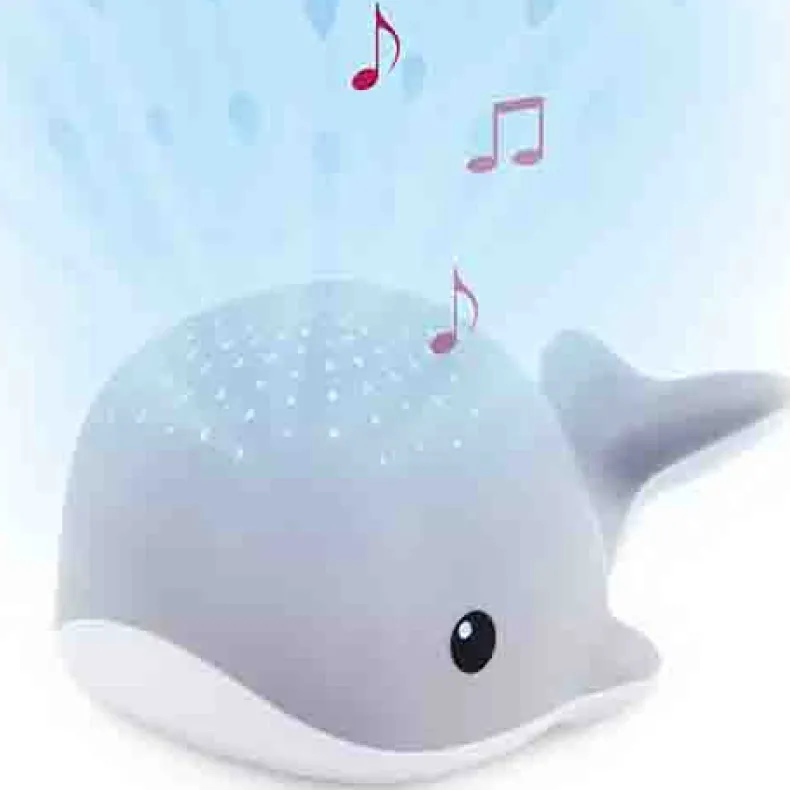 Projector Wally Grijs