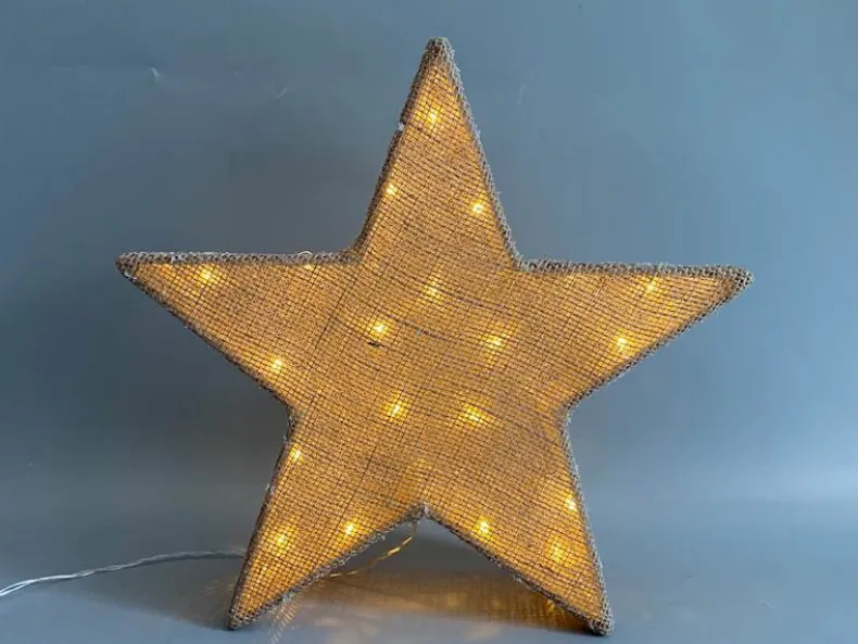 Ster LED warm wit 30 cm