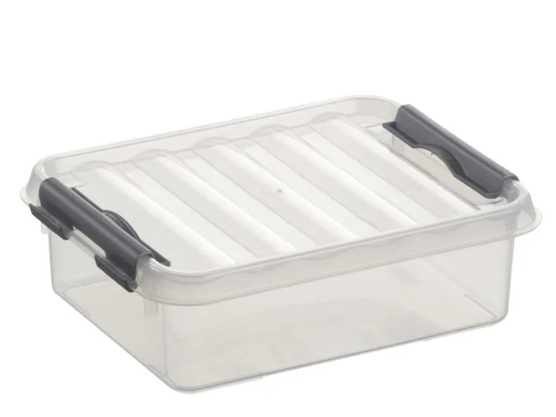 Q - line opbergbox 1 L transparant