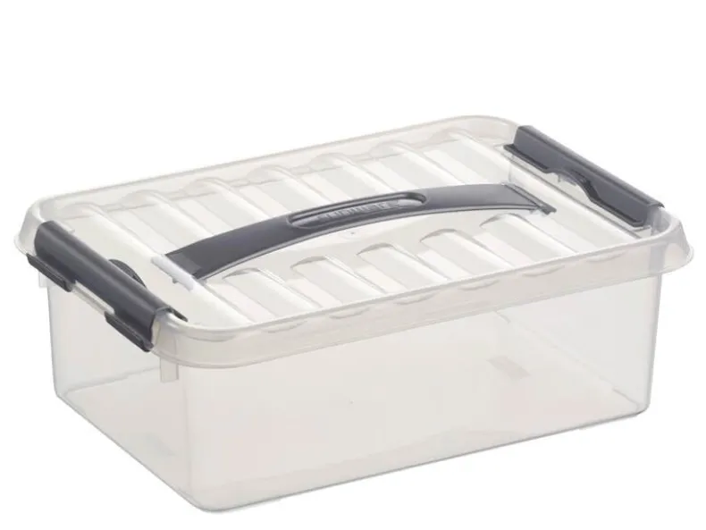 Q - line opbergbox 4 L transparant