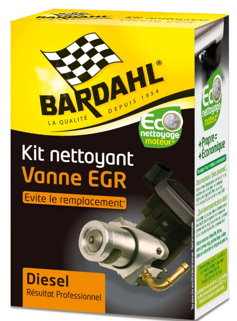 Reinigingskit Egr Klep