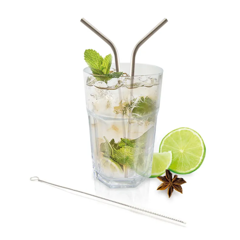 Rietjes inox 4 stuks + borsteltje