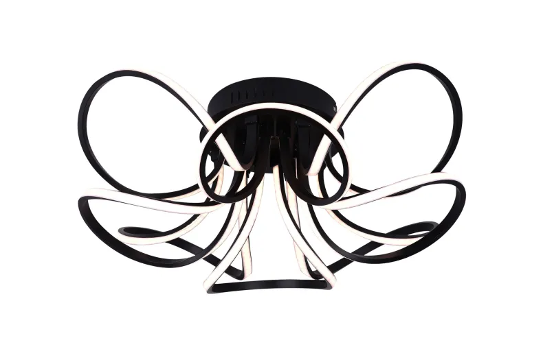 Plafondlamp Bergenia LED 30W