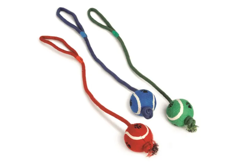 Tennisbal 6 cm aan koord 60 cm