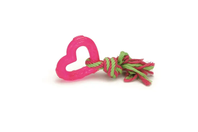 Tpr hondenspeelgoed love roze 8 cm