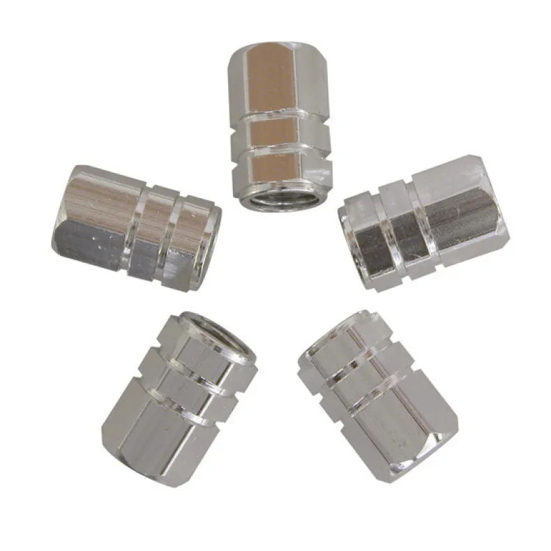 Ventiel dop zuiger zilver 5 stuks